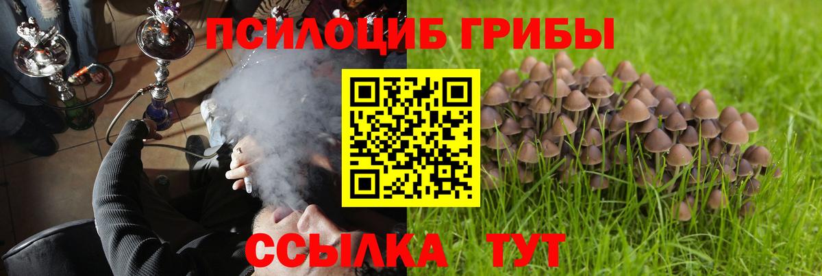 ГАШИШ  ЭКСТАЗИ  АМФЕТАМИН кристаллы  МЕФ   Цена  Рассказово  Вход с VPN  МАРИХУАНА  A PVP СК   ГАШИШ 