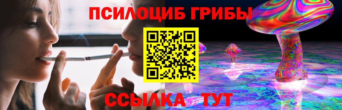 Псилоцибиновые грибы Psilocybe Рассказово